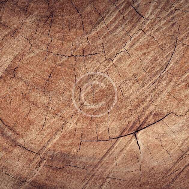 Natural oak panels